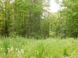 00 Pine Street - Photo 5
