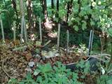 178 Church Street - Photo 24