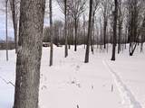 119 Advent Hill Road - Photo 37