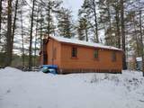 419 Belleau Boulevard - Photo 39