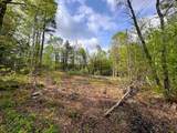 169 Sun And Ski Road - Photo 13