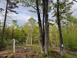 169 Sun And Ski Road - Photo 14