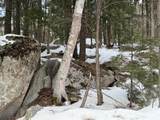 Map 6 Lot 103 Route 16 - Photo 5