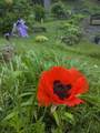 23 Pappas Road - Photo 45