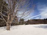 846 New Boston Road - Photo 13
