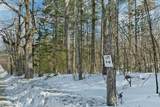 Lot 5A Phineas Graves Road - Photo 11