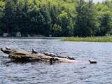 608 Otter Road - Photo 28