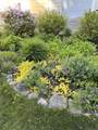 11 Vineyard Drive - Photo 42