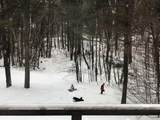 78 White Pines Road - Photo 38