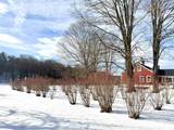 4205 Route 131 - Photo 32