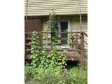 63 Fairmont Place - Photo 35