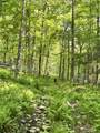 1036 Town Hill Road - Photo 11