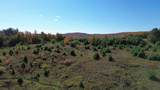 673 Reed Road - Photo 55
