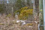 337 Chapin Road - Photo 6
