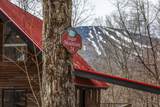 24 Sugarbush Drive - Photo 2