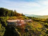00 Lindsay Road - Photo 10