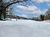 778 Stratton Mountain Access Road - Photo 16