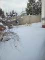 4 Tulip Street - Photo 2