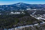  Winhall Hollow Road - Photo 7