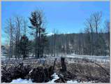 Lot 22 Ski Lift Lane - Photo 11