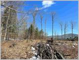 Lot 22 Ski Lift Lane - Photo 17