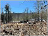 Lot 22 Ski Lift Lane - Photo 19