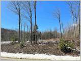 Lot 22 Ski Lift Lane - Photo 27