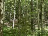 0 Rushford Valley Road - Photo 10