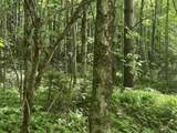 0 Rushford Valley Road - Photo 12