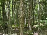 0 Rushford Valley Road - Photo 14
