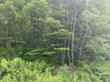 0 Rushford Valley Road - Photo 7