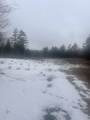 46 #3 Benton Road - Photo 39