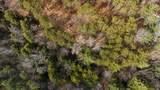 138 Shepardson Hollow Road - Photo 6