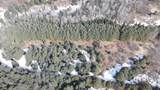 0 Hollow Road - Photo 17