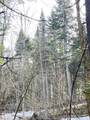 0 Hollow Road - Photo 5