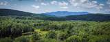 00 Prickly Mountain Road - Photo 1