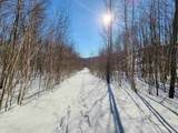 4166 Mines Road - Photo 53