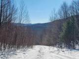 4166 Mines Road - Photo 54