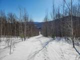4166 Mines Road - Photo 56