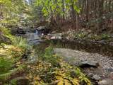 829 Bearcamp Hwy & 10 Mountain Road - Photo 15