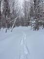 1606 Town Farm Road - Photo 15