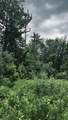1606 Town Farm Road - Photo 52