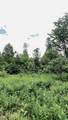1606 Town Farm Road - Photo 54