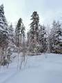 1606 Town Farm Road - Photo 9