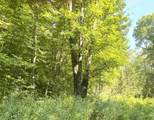 00 North Branch Road - Photo 4