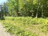 00 North Branch Road - Photo 7