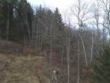 00 Bent Birch Lane - Photo 11
