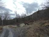 00 Bent Birch Lane - Photo 16