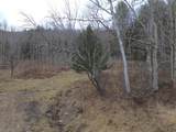 00 Bent Birch Lane - Photo 18