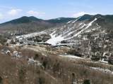 68 Flume Road - Photo 53